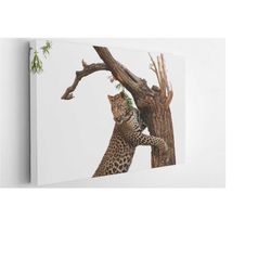 leopard hanging on a tree, canvas wall art