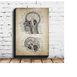 Vintage Human Head And Brain Anatomy Canvas Art Prints Poster Neuroscience Human Anatomy Painting Doctors Office Wall Ar
