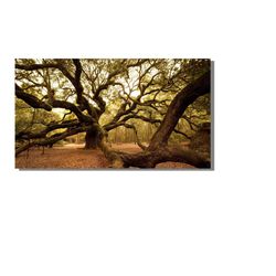 old tree perfect poster, tree canvas painting, tree canvas prints, tree canvas wall art, old tree of life painting