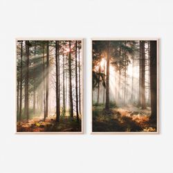 Forest Light Beam Gallery Wall Art Set of 2 Nature Photography Prints Woods Trees Landscape Rustic Cabin Decor Canvas Fr