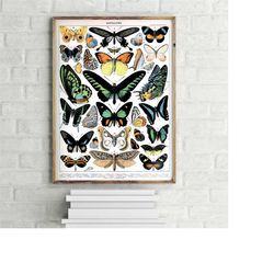 Vintage Butterfly Collection Poster 2, Retro Wall Art Print