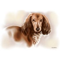 dachshund watercolor print on canvas