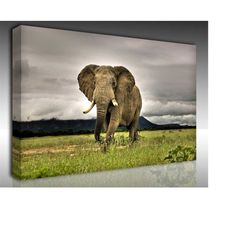elephant poster wall art canvas print,elephant photo print,wild