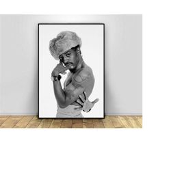 Andre 3000, Music Singer Canvas Poster Wall Art