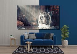 white tiger poster print,  white tiger canvas, animal canvas wall art print, white tiger  wall art, white tiger print, r