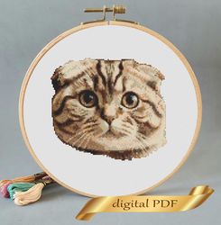 Scottish Fold cat pattern pdf cross stitch, pets easy embroidery DIY, art 23