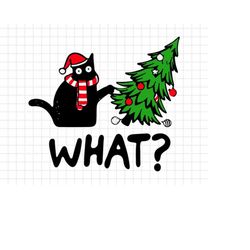 Funnt Cat What Christmas Tree Svg Png, Black Cat Svg, Santa Claus Hat Svg, Xmas Cat Svg, Xmas, Svg Png Files For Cricut