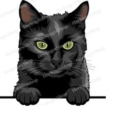 Black Cat - Green eyes illustration portrait - Peeking line - PeekABoo - .svg .png .jpg ***Commercial License INCLUDED**