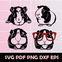 Guinea Pig Svg, Guinea Pig Eps, Guinea Pig Clipart, Guinea Pig Vector, Guinea Pig Png, Guinea Pig Dxf, Guinea Pig