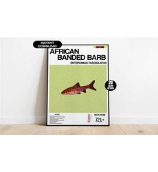 Aquarium Fish Poster, African Banded Barb Aquarium Poster,