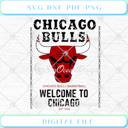 Chicago Bulls Chicago Bulls Basketball Welcome To Chicago Est 1966 SVG