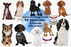Dog Breeds Clipart Png Graphic Designs, Animal Png, Watercolor