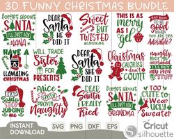 Funny Christmas Svg Bundle, Christmas Svg, Christmas Quotes Svg, Funny Quotes Svg, Santa Svg, Snowflake Svg, Decoration,