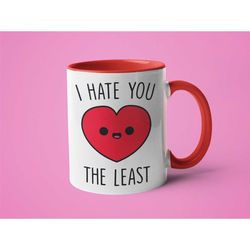 Sarcastic Mug, Funny Mug, Anniversary Gift, I Hate You the Least