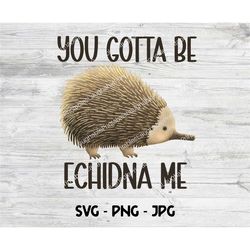 Echidna SVG, You Gotta be Echidna Me Digital Download, Funny Echidna Art, Echidna Clipart, Cricut Cut File, Png Jpg Echi