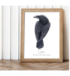 Crow Print Art Bird Wall Prints, Raven Printable,