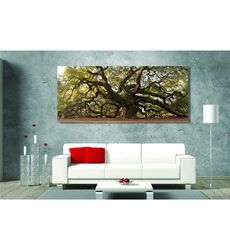 angel oak tree canvas wall art vivid wall