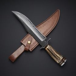 Perfect Designed Custom Handmade Damascus Steel hunting knife with Stag horn handle