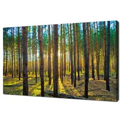 sunset in scots pine forest modern landscape design home decor canvas print wall art picture wall hanging