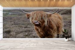 bull wall decals, scottish highland cattle landscape wall print, animal paper, cow wallpaper, wild buffalo wall paper, r