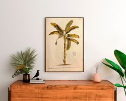 banana tree illustration, musa plant painting on canvas, living room wall art, classic famous art, gallery wrapped, prin