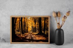 autumn landscape photo, fall landscape home decor, autumn forest wall art, fall forest landscape wall decor, autumn prin