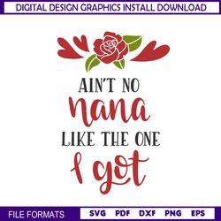 Ain't No Nana Like The One I Got SVG