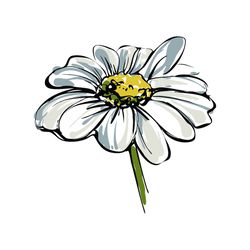Colored Sketch Wild Flower Resembling Daisy Svg, Flower Svg, Daisy Svg, Painting Daisy Svg, Wildflowers Svg, Birthday Gi