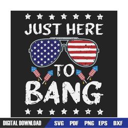 Funny 4th of July Im Just Here To Bang USA Flag Sunglasses Svg, Independence Svg, Just Here To Bang, 4th Of July Svg, Ju