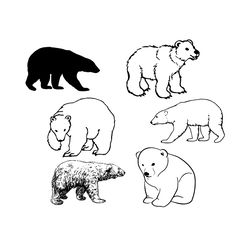 Polar Bear Svg Bundle, Trending Svg, Polar Bear Svg, Polar Bear Vector, Polar Bear Clipart, Animal Svg, North Pole Svg,
