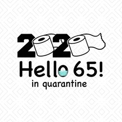 2020 hello 65 in quarantine svg, birthday svg, quarantine birthday svg, hello 65 svg, 65th birthday svg, birthday gifts,