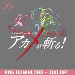 akame ga kill 3694PNG Manga PNG download