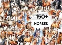 150 Horses Watercolor Clipart Magical Enchanting Horse Illustrations Animals in the Nature PNG Instant Digital C