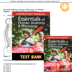 Latest 2024 Test bank Essentials of Human Anatomy & Physiology, 13th Edition Marieb Instant Download
