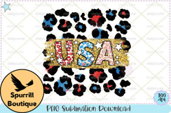 USA Leopard Sublimation, 4th of July PNG Design 49
