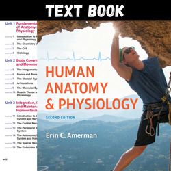Complete Human Anatomy and Physiology 2nd Edition