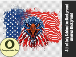America 1776 Design 42