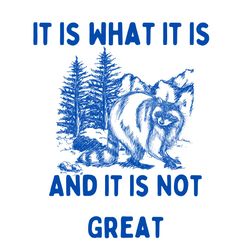 It Is What It Is And It Is Not Great Vintage Drawing Digital File, Funny Raccoon Meme PNG, Funny Trash Panda Merch