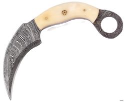 Karambit Knife - Tactical Precision with G10 Handle and Sheath.