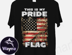 4th of July Quote Retro PNG Sublimation Design 71