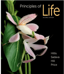 Principles of Life pdf