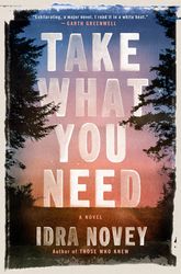 take what you need by idra novey - ebook - literary fiction, novels, art, contemporary, fiction