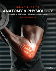 Principles of Anatomy and Physiology 16th Edition by Gerard J. Tortora Test Bank