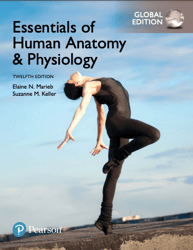 TextBook for Essentials of Human Anatomy & Physiology, Global Edition 12th Edition