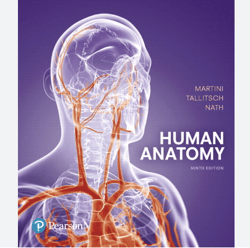 2023 TextBook for Human Anatomy 9th Edition by Martini PDF | Instant Download
