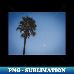 California Palm Tree Under the Moon Photo V1 - PNG Transparent Sublimation Design - Spice Up Your Sublimation Projects