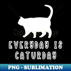 Fat Cat Shirt Everyday Is Caturday Cat - Modern Sublimation PNG File - Unleash Your Creativity