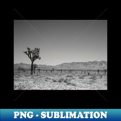 joshua tree landscape photo v4 - instant sublimation digital download - add a festive touch to every day