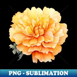 Marigold Blossom Pastel Watercolor - Professional Sublimation Digital Download - Stunning Sublimation Graphics