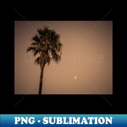 California Palm Tree Under the Moon Photo V3 - PNG Transparent Digital Download File for Sublimation - Unlock Vibrant Sublimation Designs
